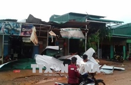 Lốc xoáy gây thiệt hại nhà ở, cây trồng ở Đắk Nông